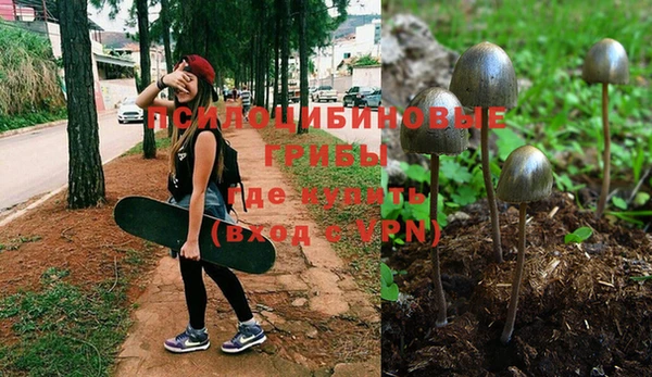 соль ск Волосово