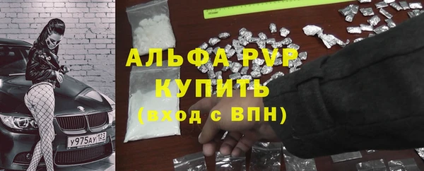 стафф Волоколамск